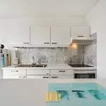 Summer With Big Sunny Terrace Apartment Blankenberge