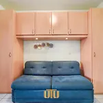 Summer With Big Sunny Terrace Apartment